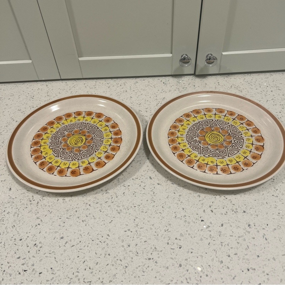 Vintage FUJI STONE Maya Dinner Plates - Set of 2 -Stoneware Oven to Table 10.5"